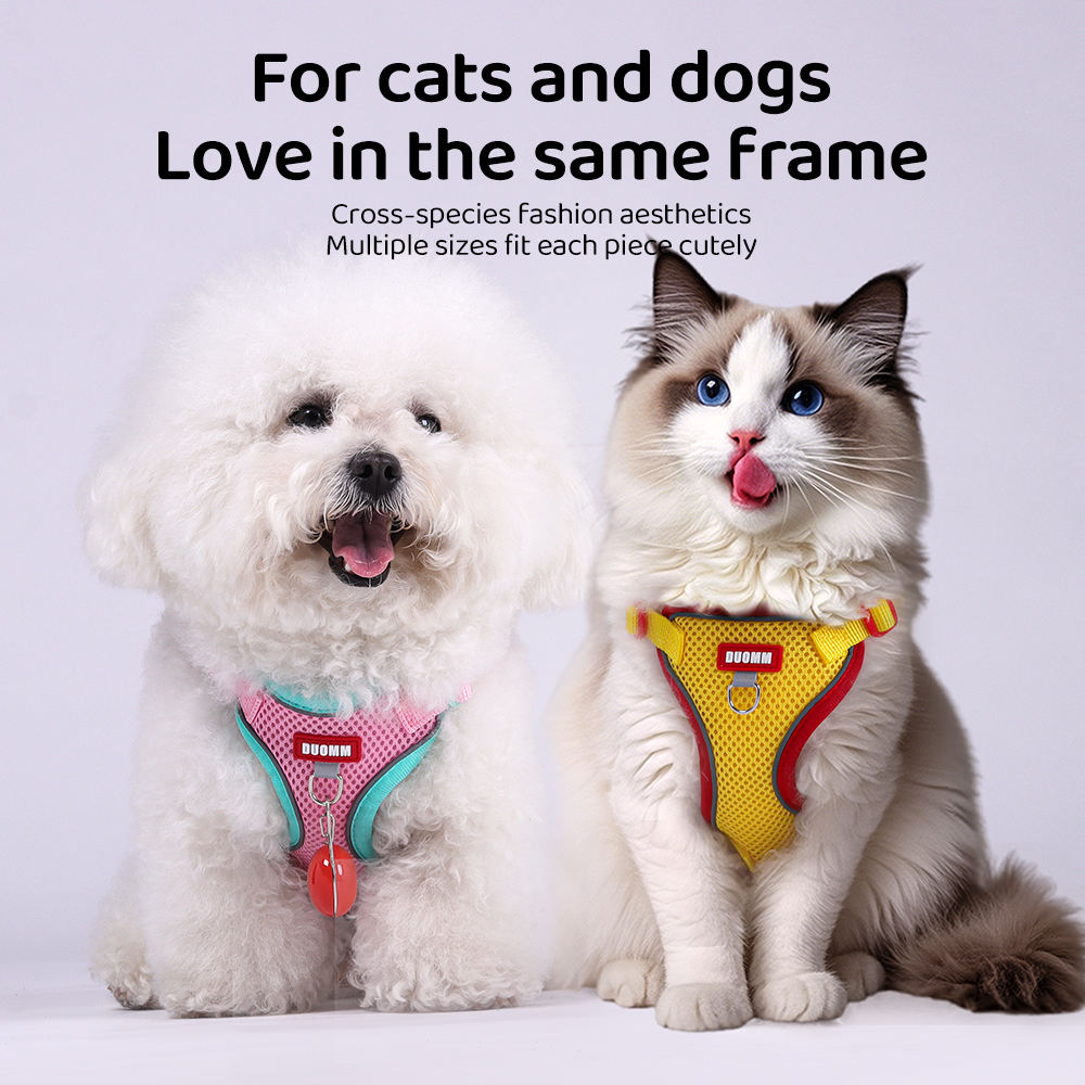 New pet harness and anti-escape dog leash set for outdoor use