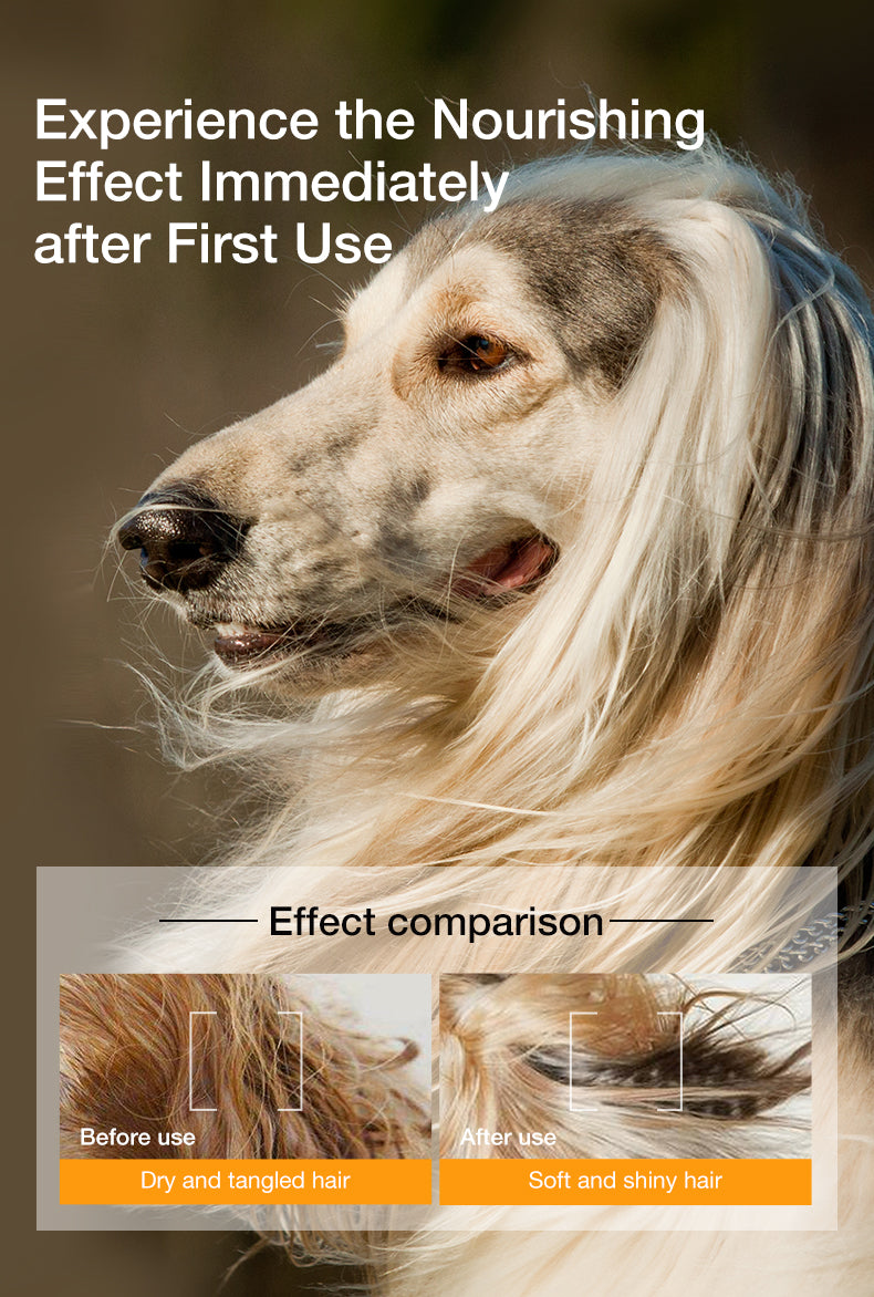 Pet Essential Oil Shampoo Series