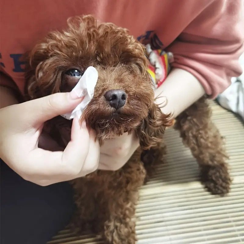 130pcs Pet Cleaning Tear Marks Wipe