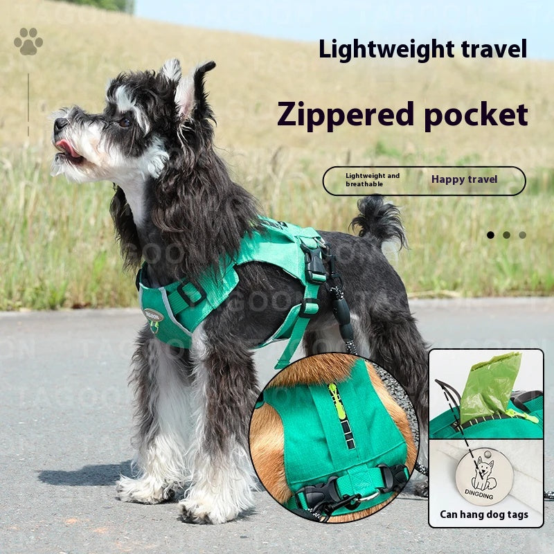 Lightweight pet harness with reflective strips + a free small night light