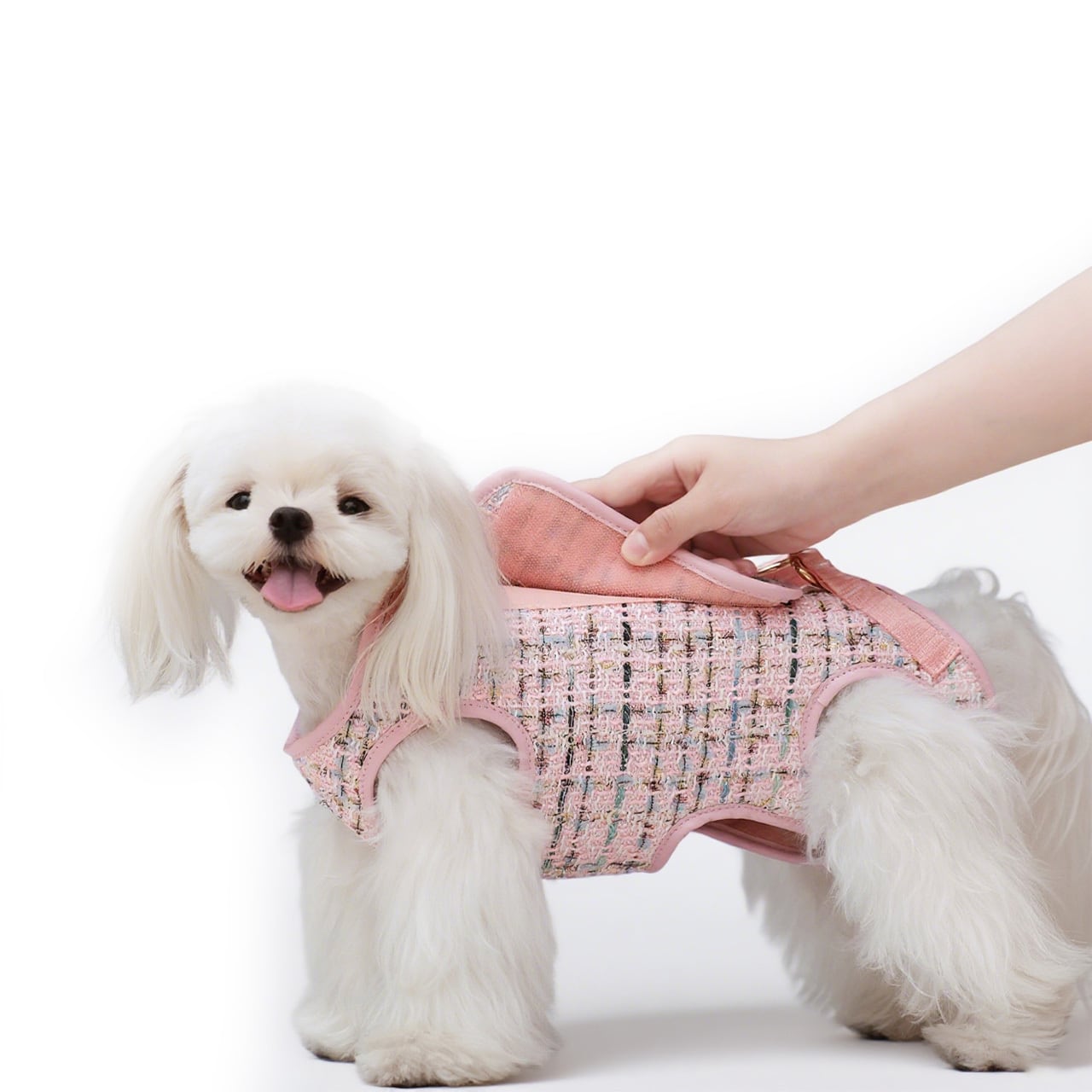 8203.Multifunctional Pet Carry Bag