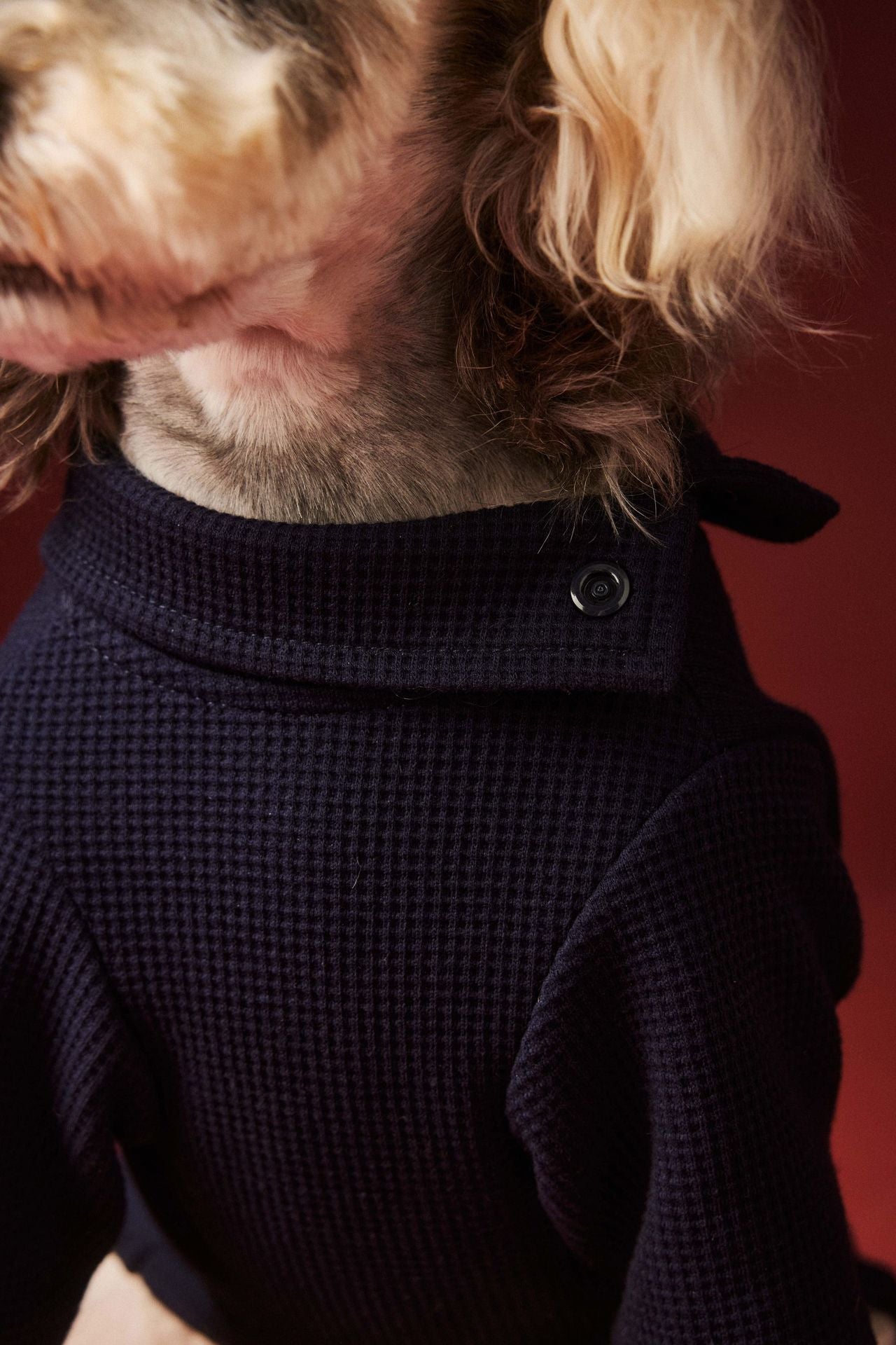 Waffle-patterned four-legged base layer for dogs in autumn and winter