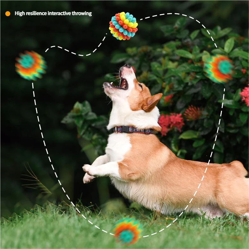 Dog toy balls, pet teething toys that are bite - resistant