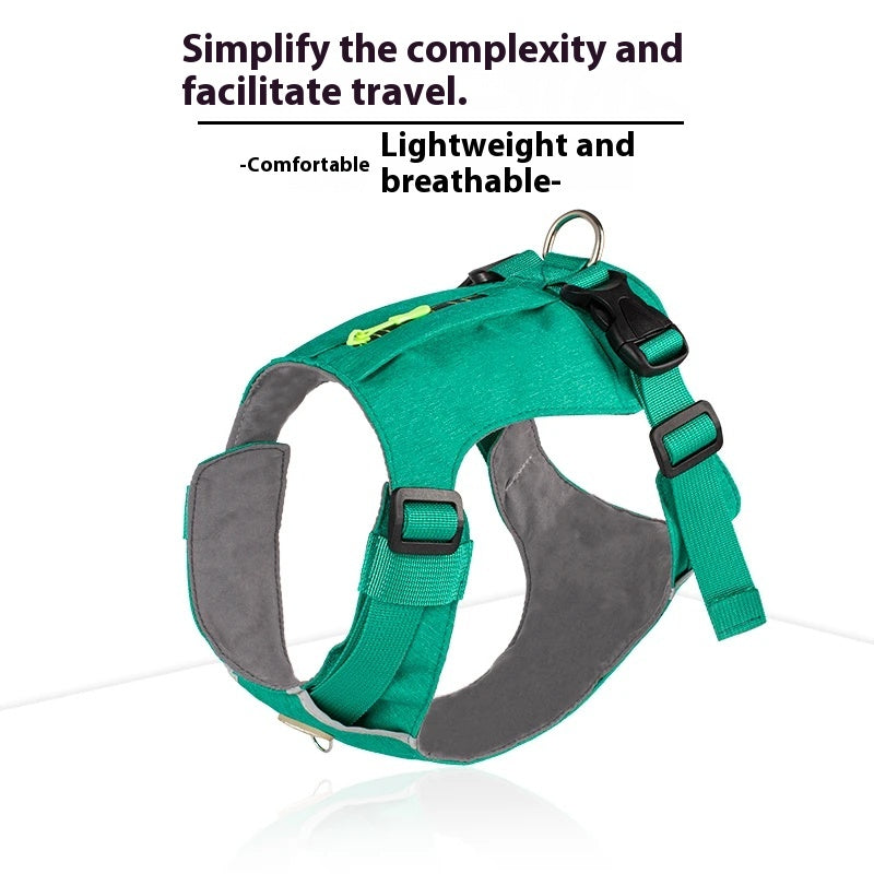 Lightweight pet harness with reflective strips + a free small night light