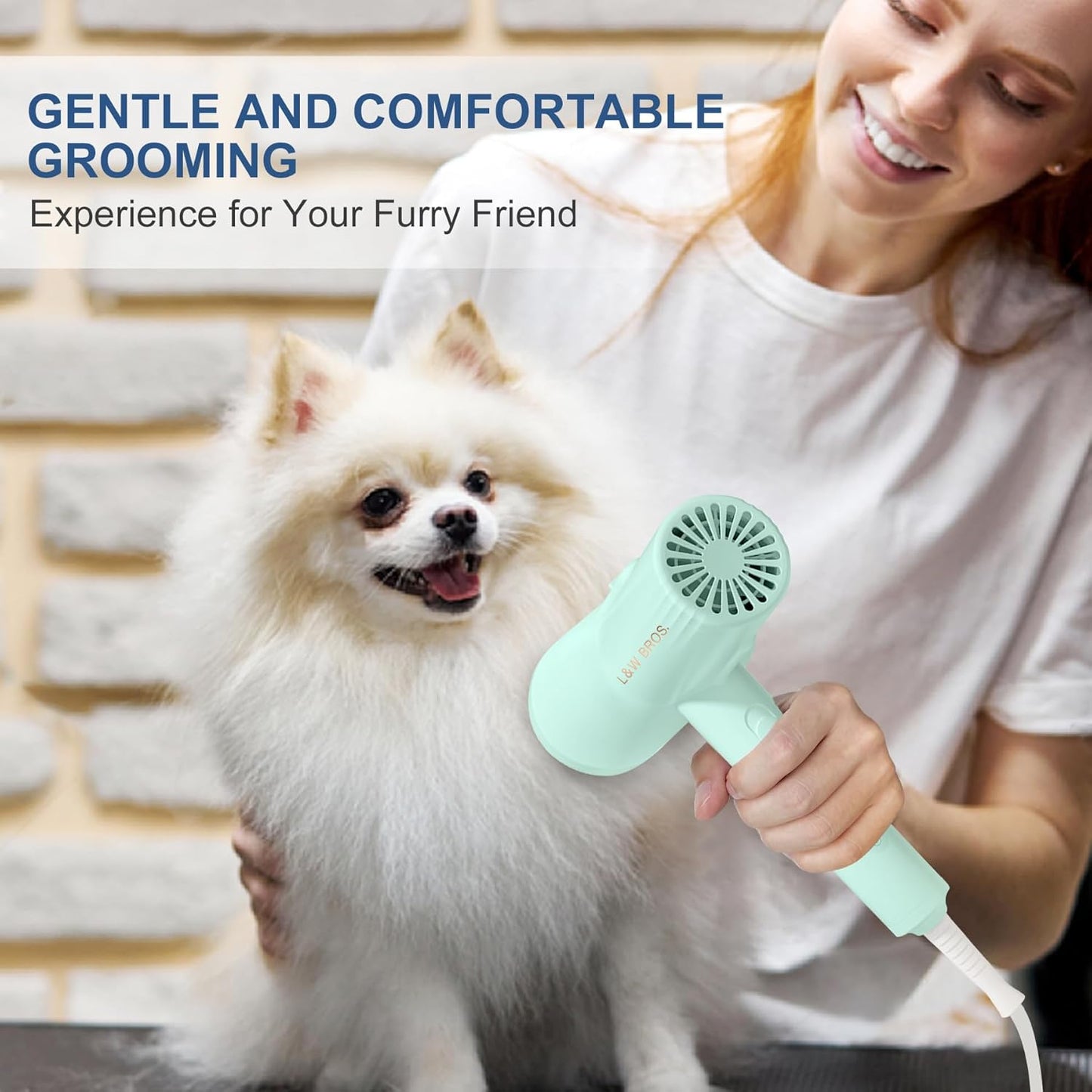 2-in 1 Overheating Protection Low Noise Dryer for Small Dogs
