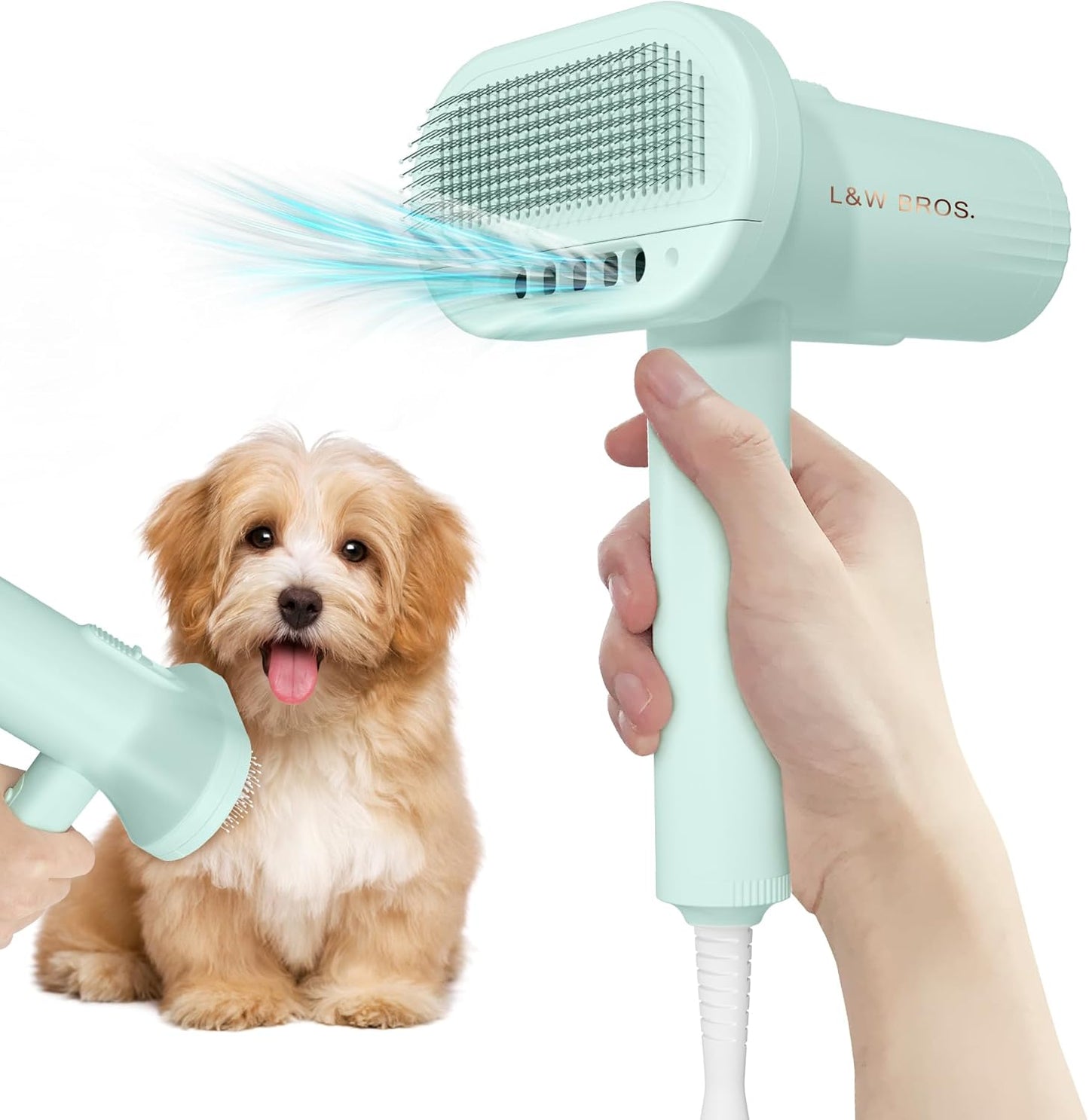 2-in 1 Overheating Protection Low Noise Dryer for Small Dogs