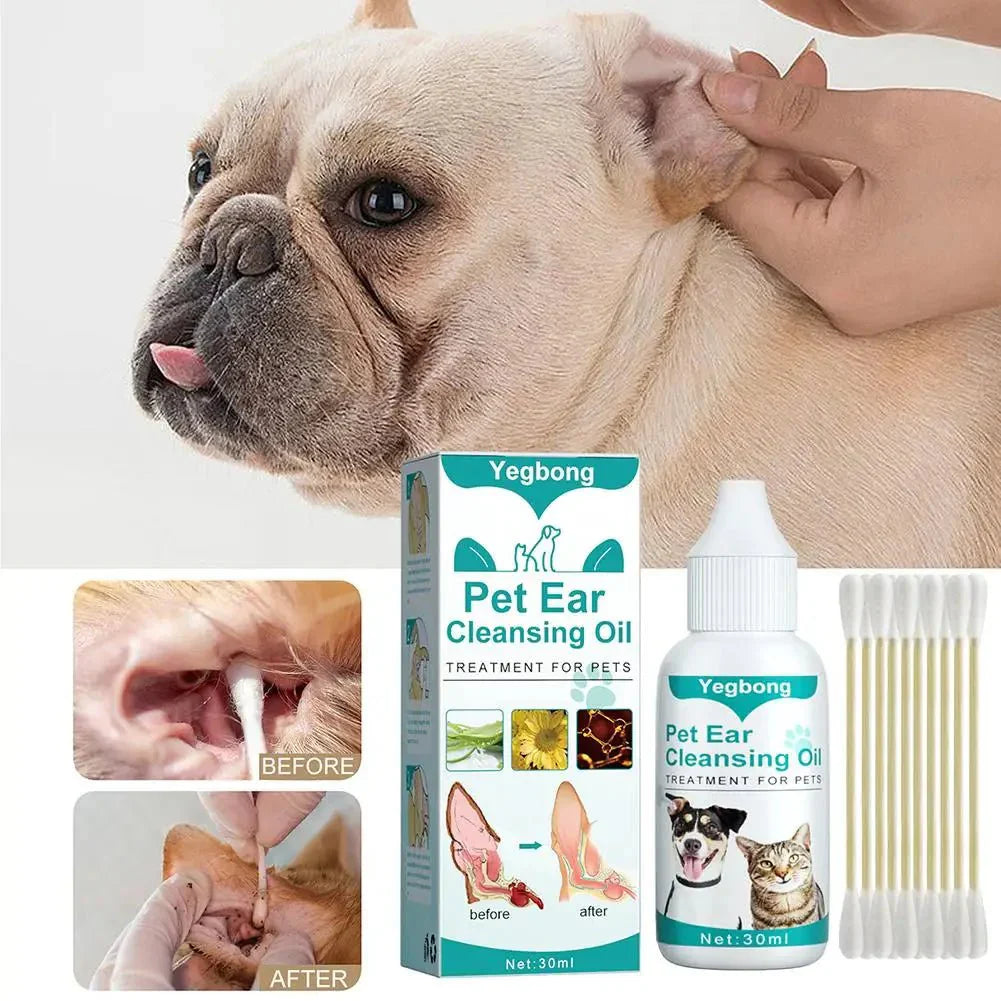 Ear Drop With Cotton Swabs