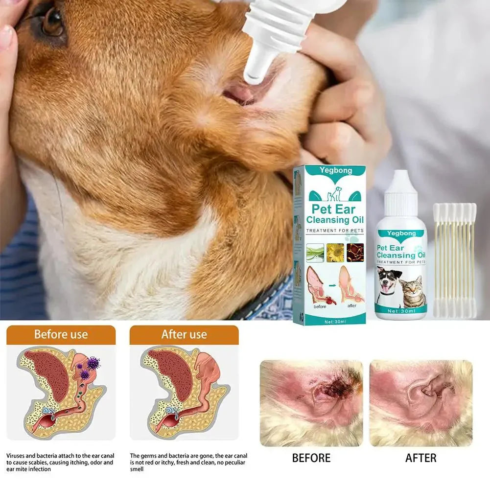 Ear Drop With Cotton Swabs