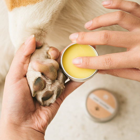 Pet Paw Care Balm