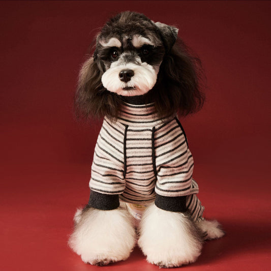 Warm four - legged striped base layer for dogs