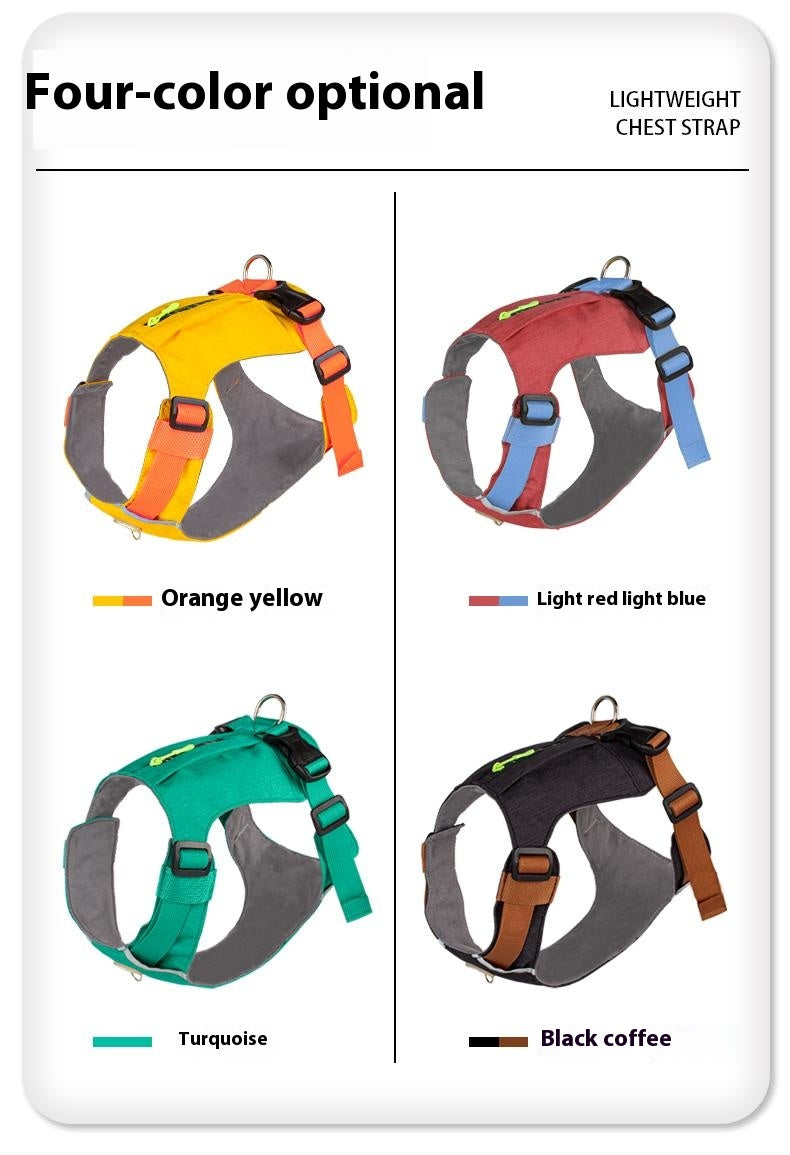 Lightweight pet harness with reflective strips + a free small night light