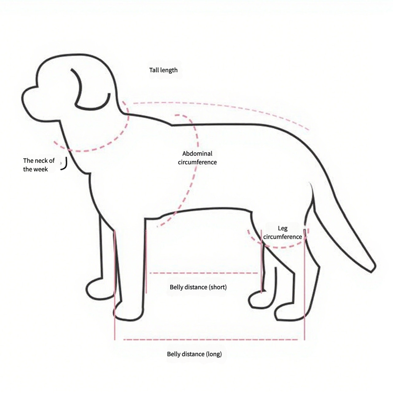 8203.Multifunctional Pet Carry Bag