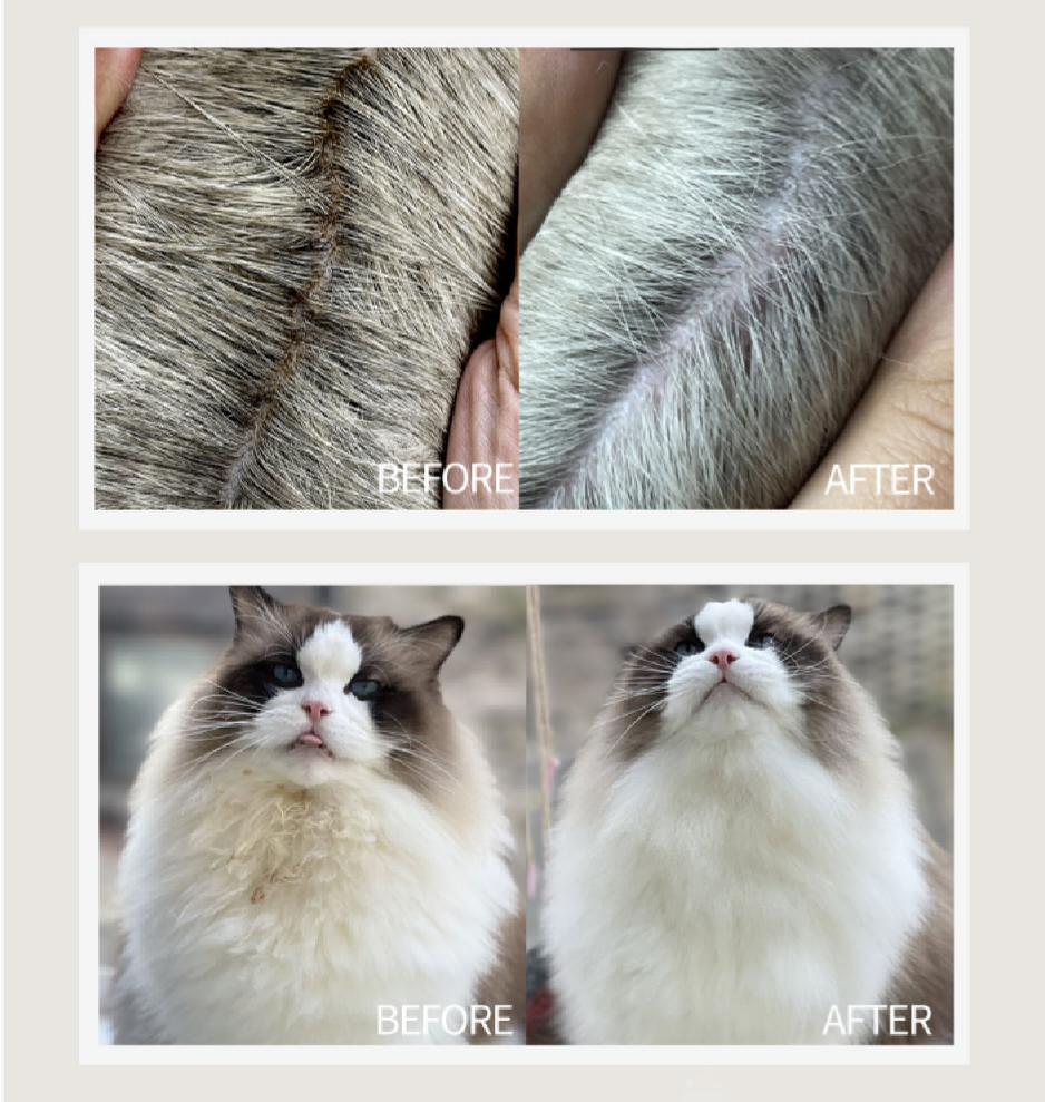 No-Rinse Pet Cleaner Foam