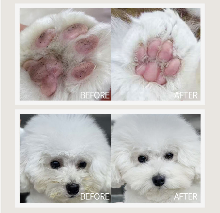 No-Rinse Pet Cleaner Foam