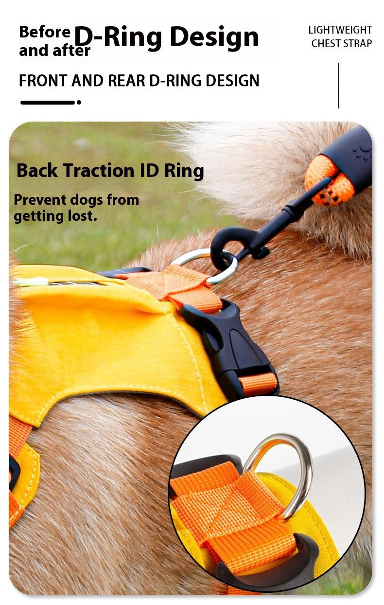 Lightweight pet harness with reflective strips + a free small night light