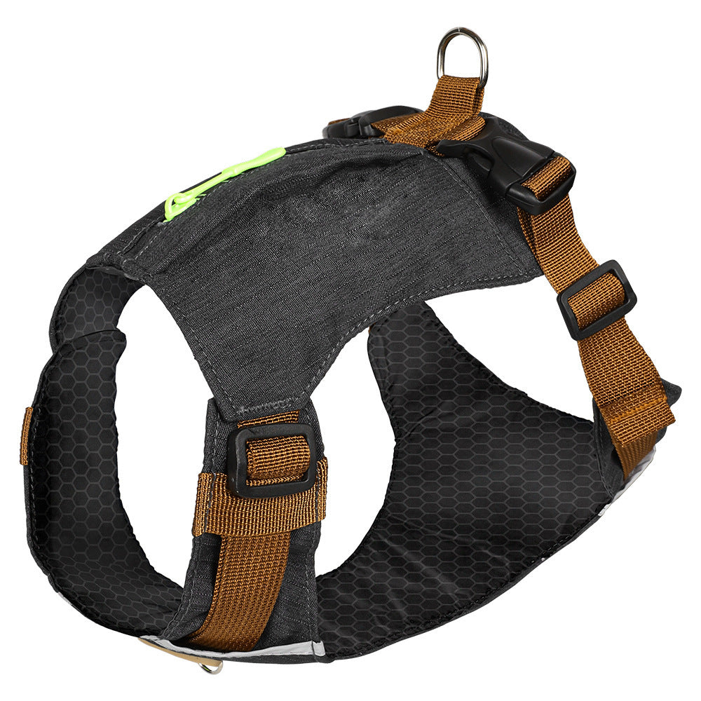 Lightweight pet harness with reflective strips + a free small night light