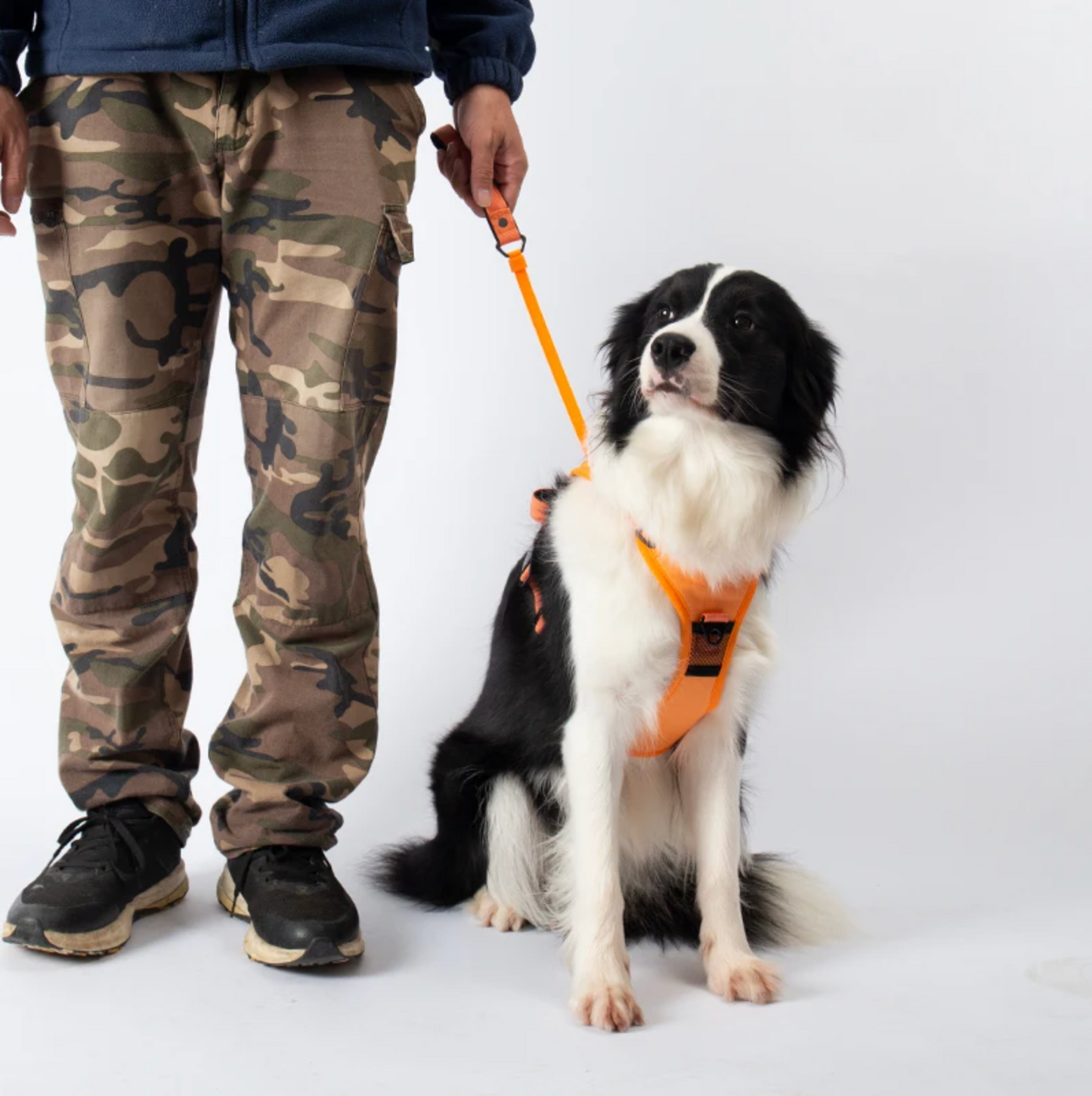 3 in 1 Dog Harness with Built-In Leash