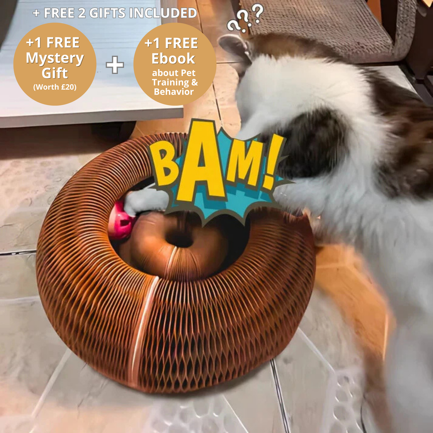 Kitty Kurlz