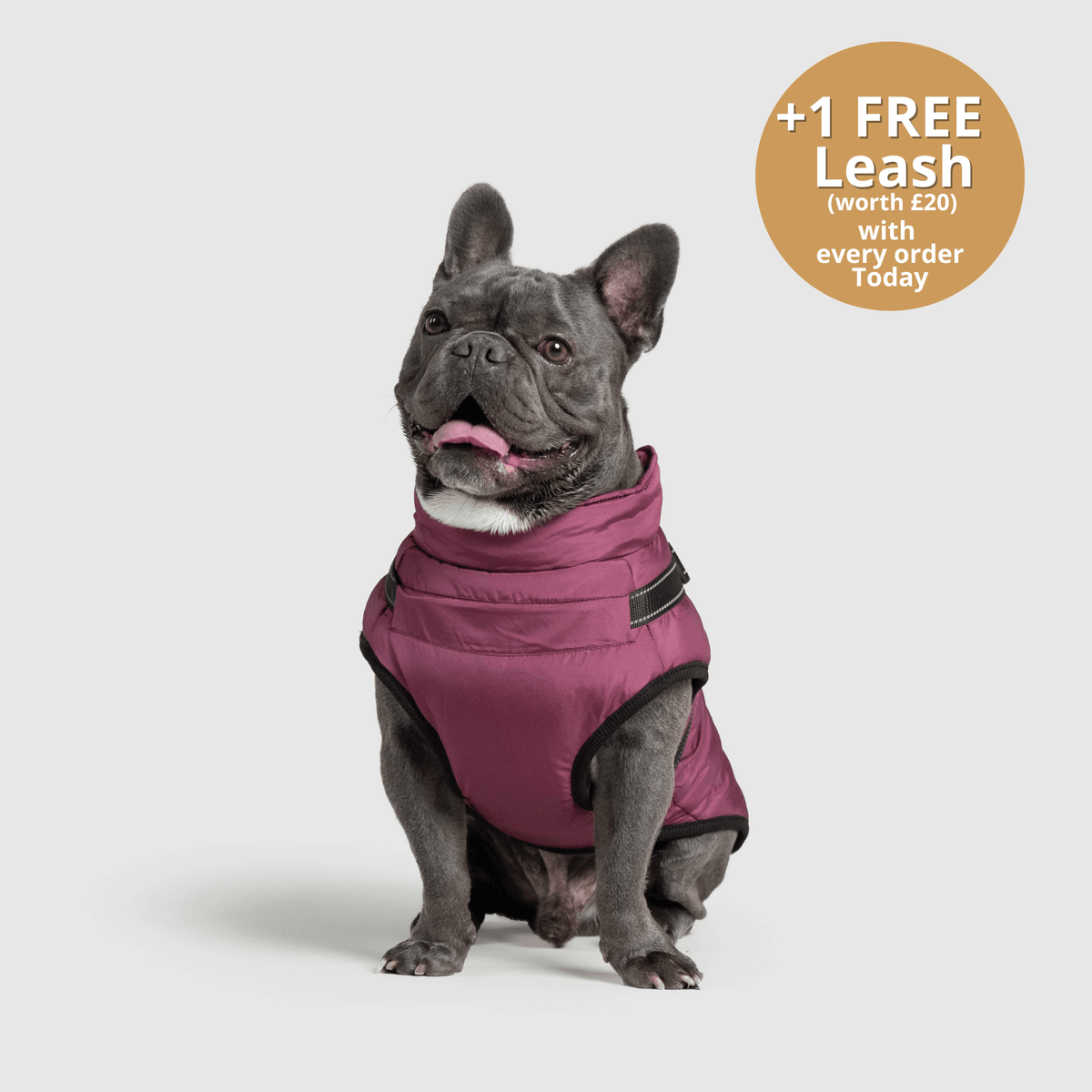 Dog 3 in 1 Jacket