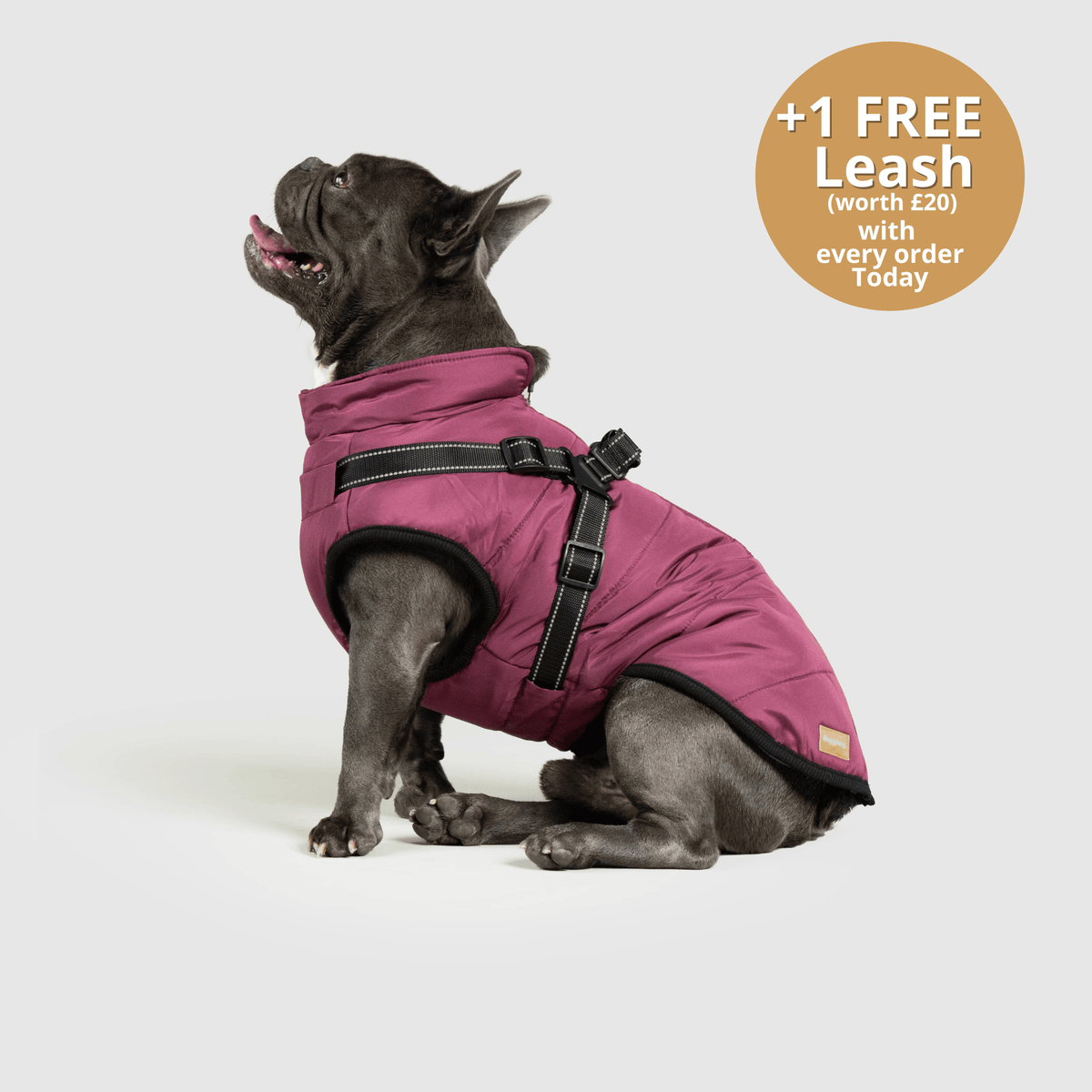 Dog 3 in 1 Jacket