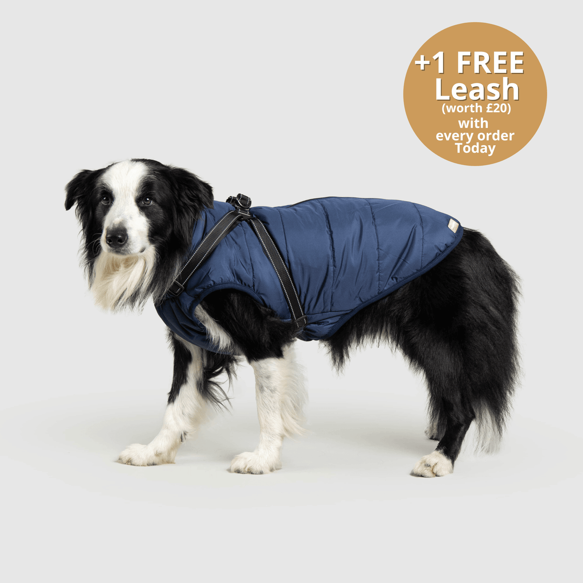 Dog 3 in 1 Jacket