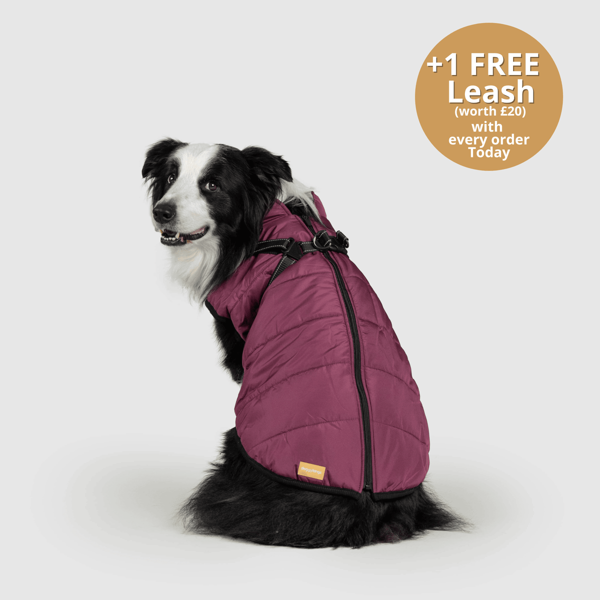 Dog 3 in 1 Jacket