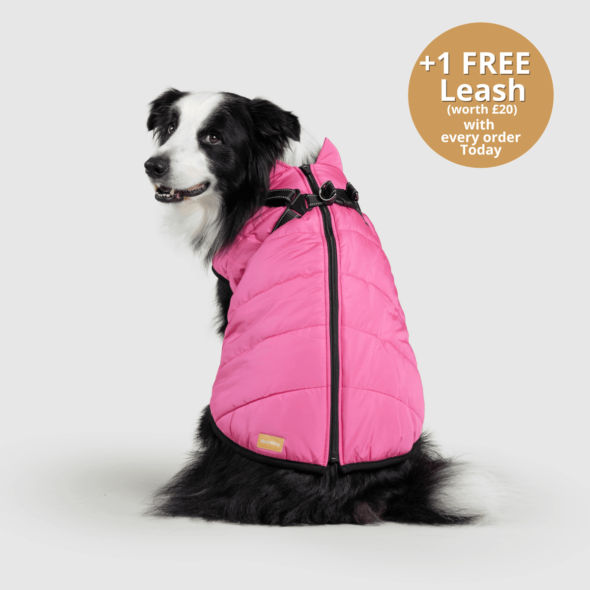 Dog 3 in 1 Jacket