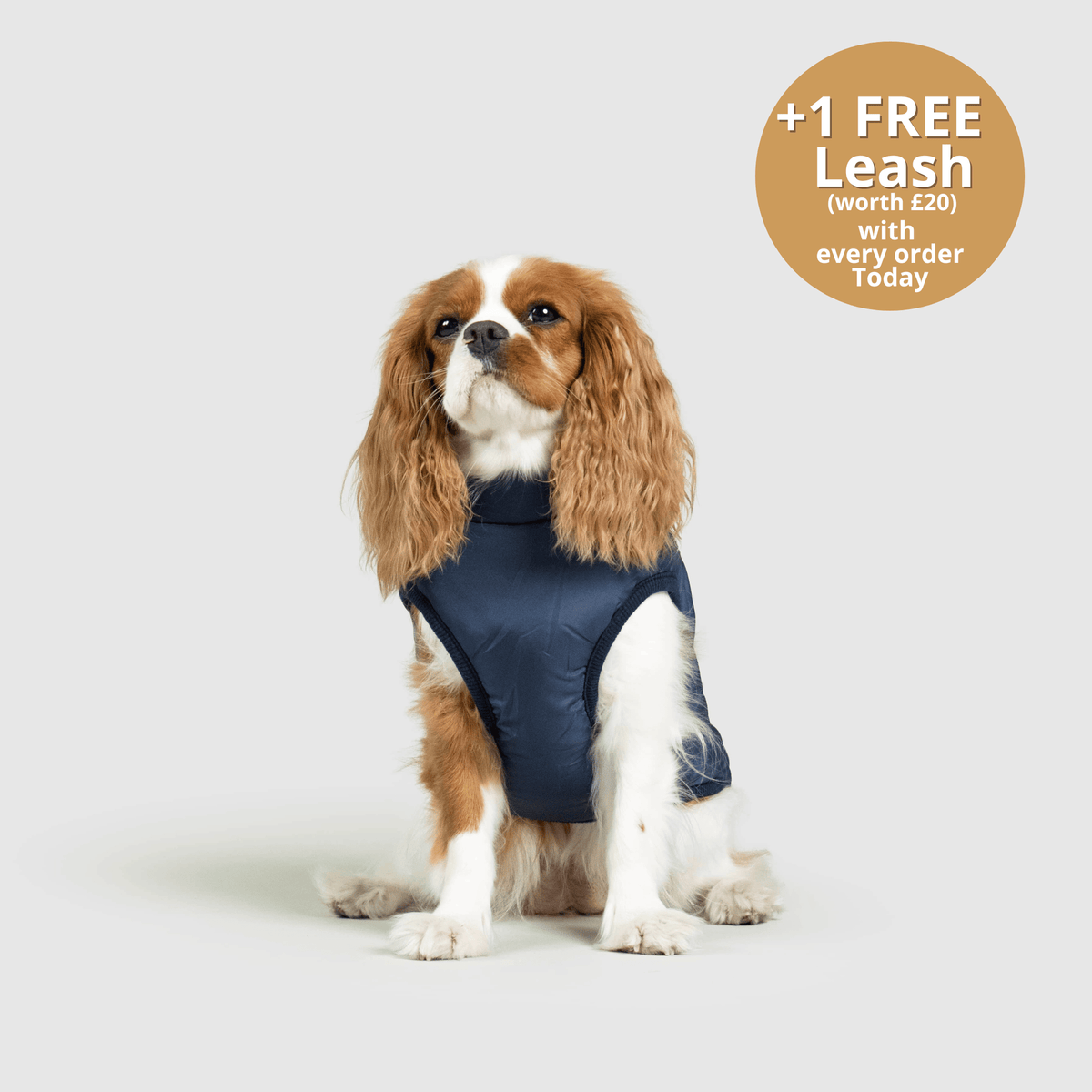 Dog 3 in 1 Jacket