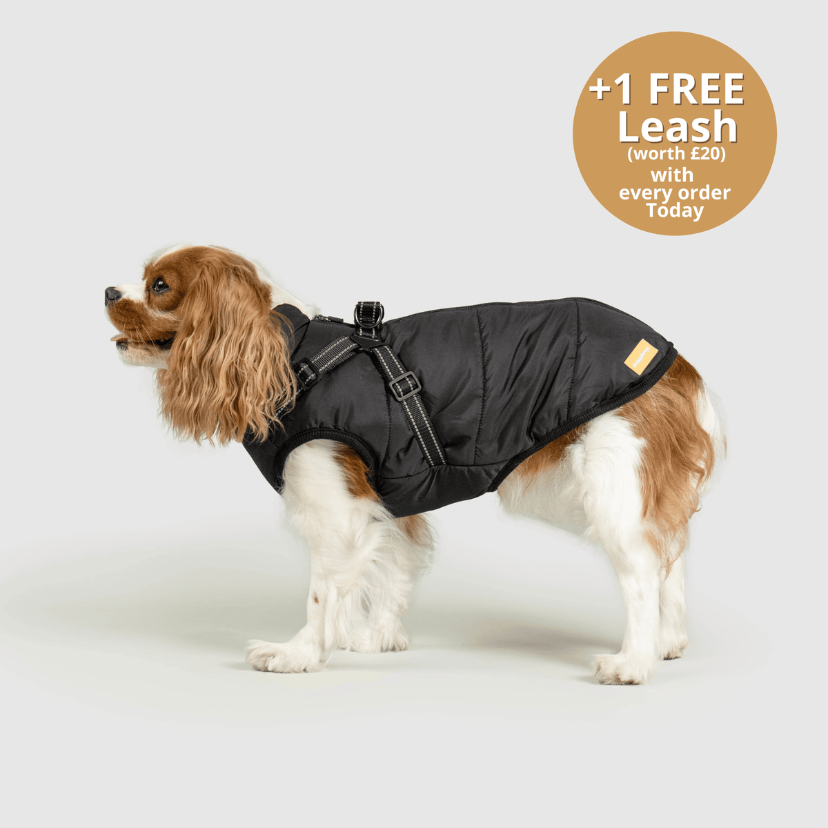 Dog 3 in 1 Jacket