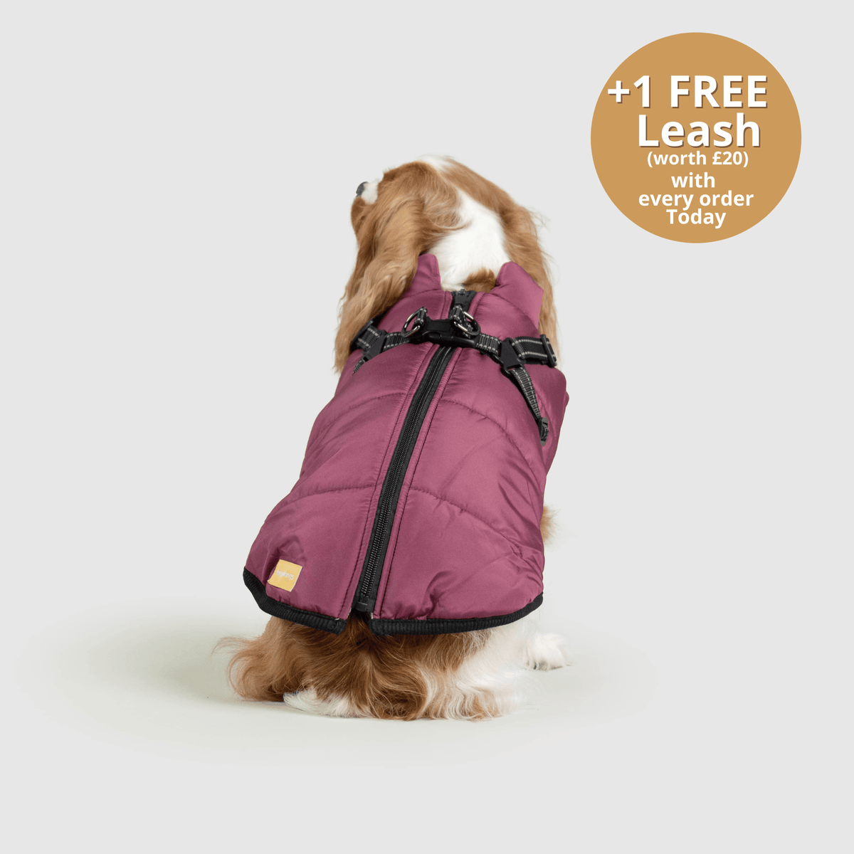 Dog 3 in 1 Jacket
