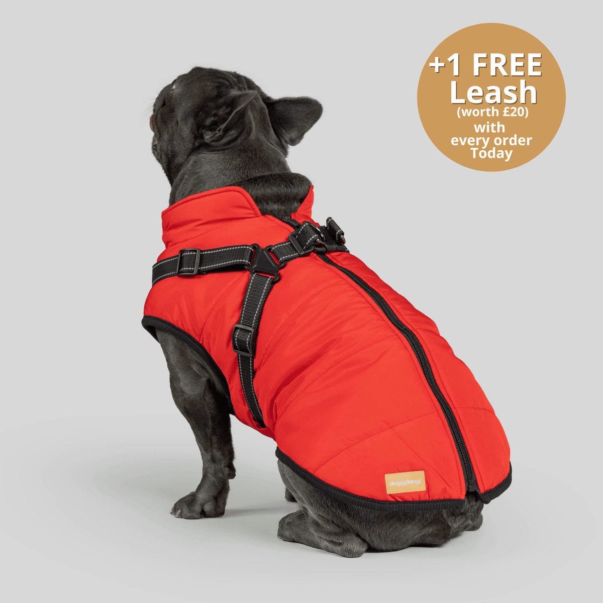 Dog 3 in 1 Jacket