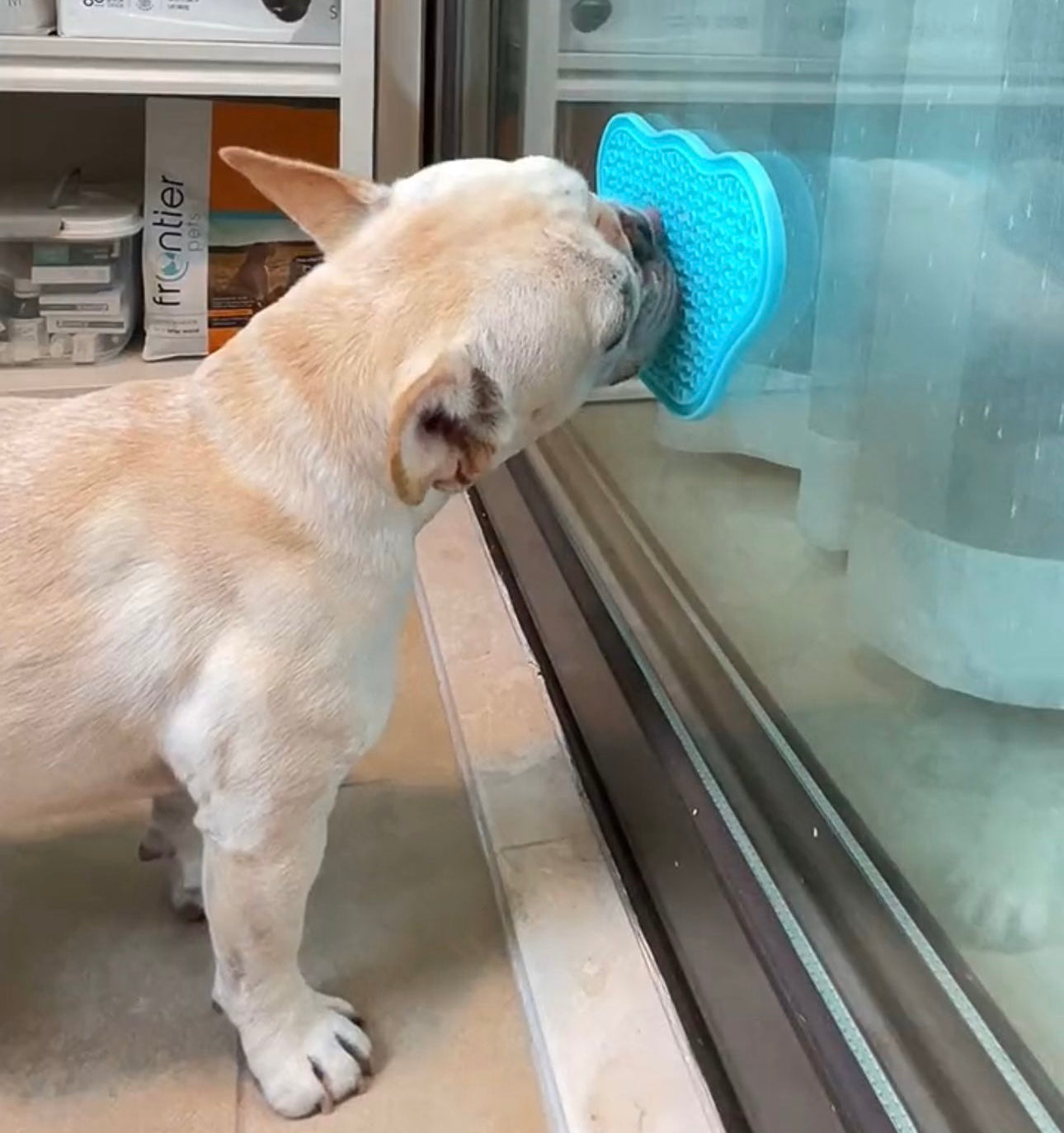 Slow Pet Feeder