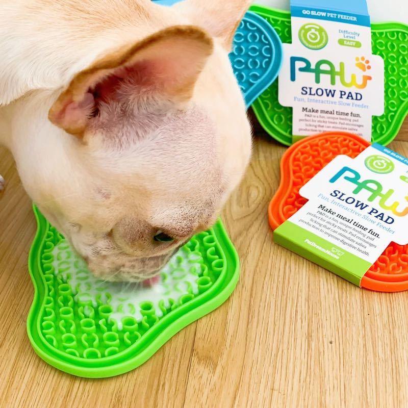 Slow Pet Feeder