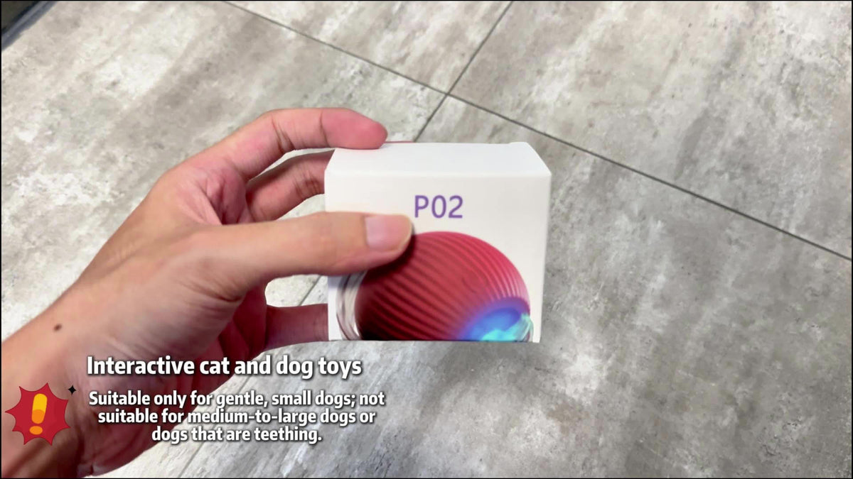 Interactive Cat & Dog Teaser Toy with Two Additional Tails, Kitten Rolling Ball Toy, Pet Supplies, Dog & Cat Accessories Cute dog toys