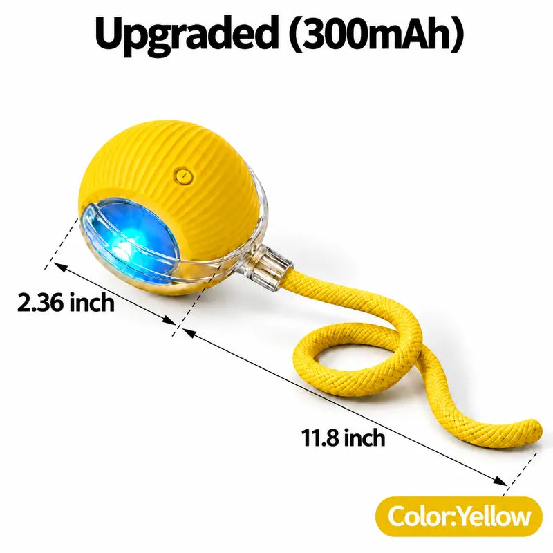Interactive Cat & Dog Teaser Toy with Two Additional Tails, Kitten Rolling Ball Toy, Pet Supplies, Dog & Cat Accessories Cute dog toys