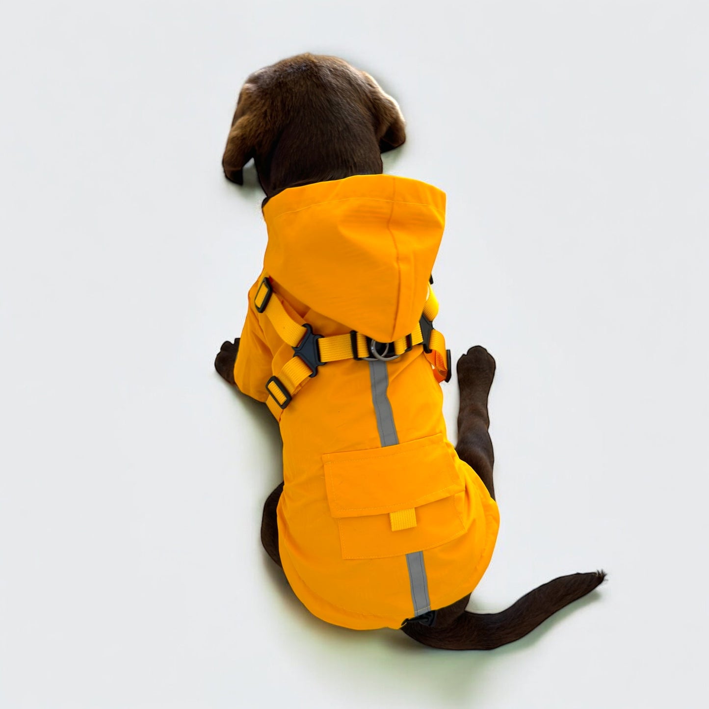3 in 1 Rain Coat