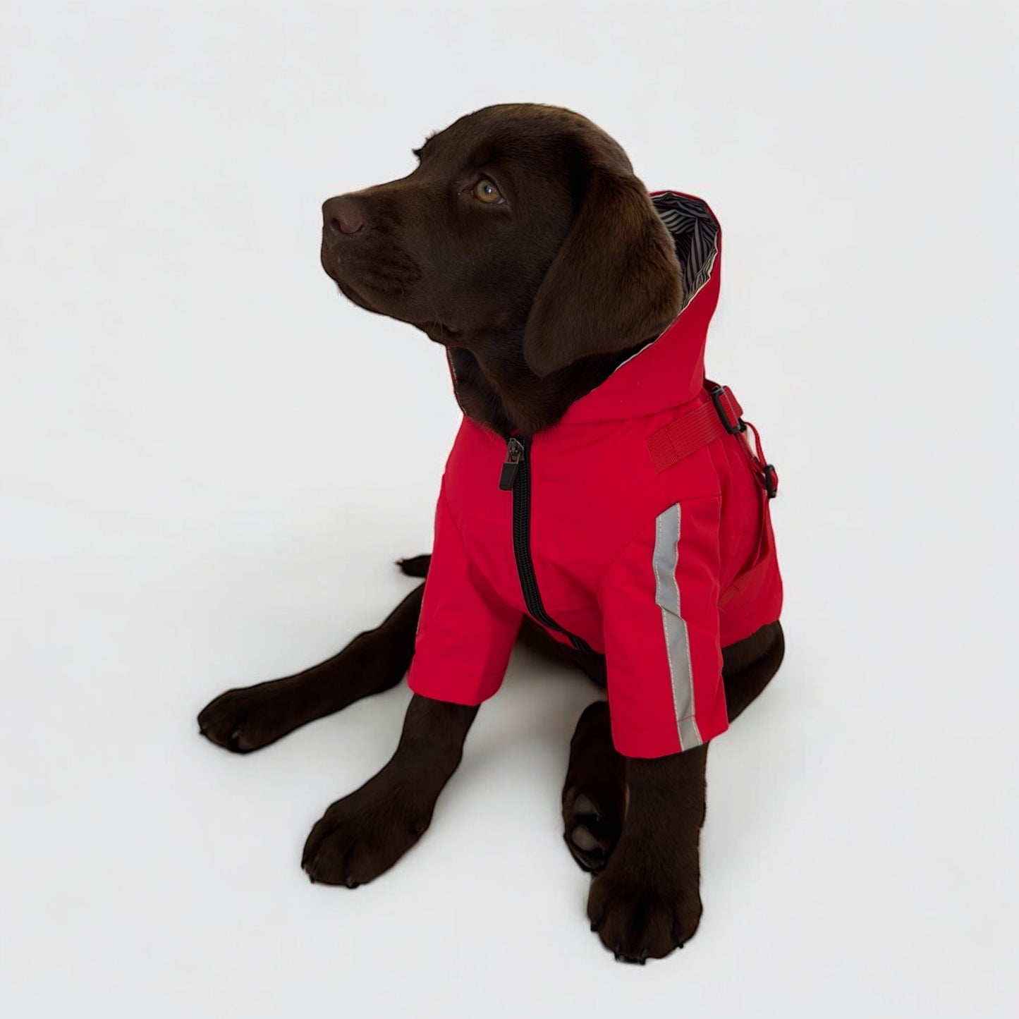 3 in 1 Rain Coat
