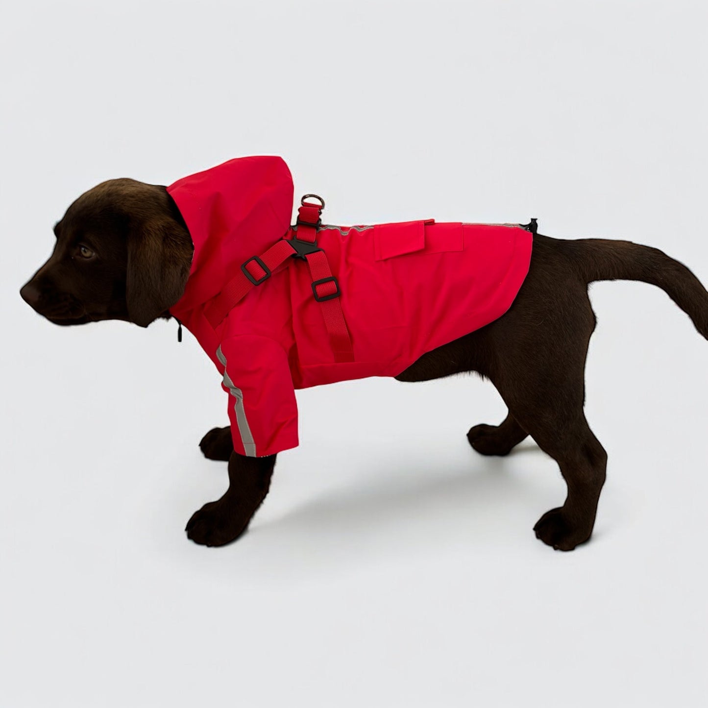 3 in 1 Rain Coat