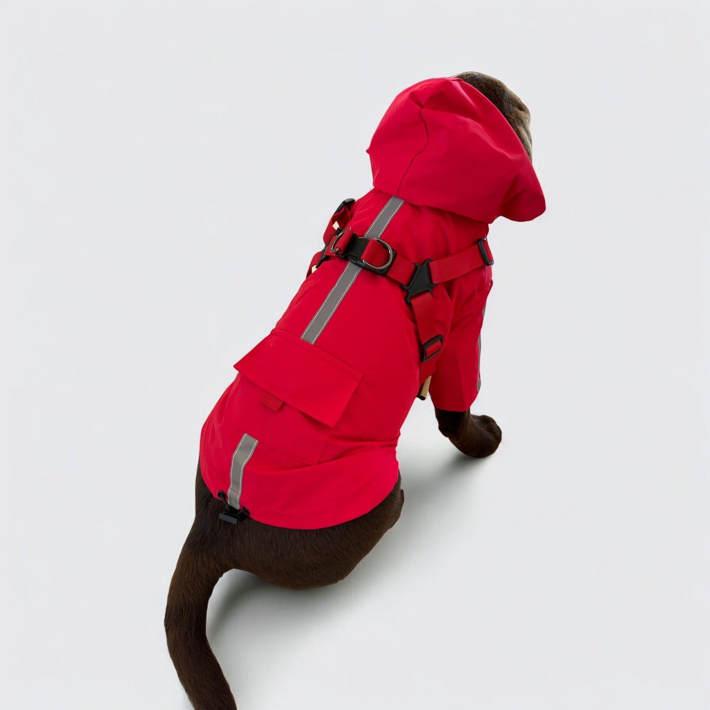 3 in 1 Rain Coat