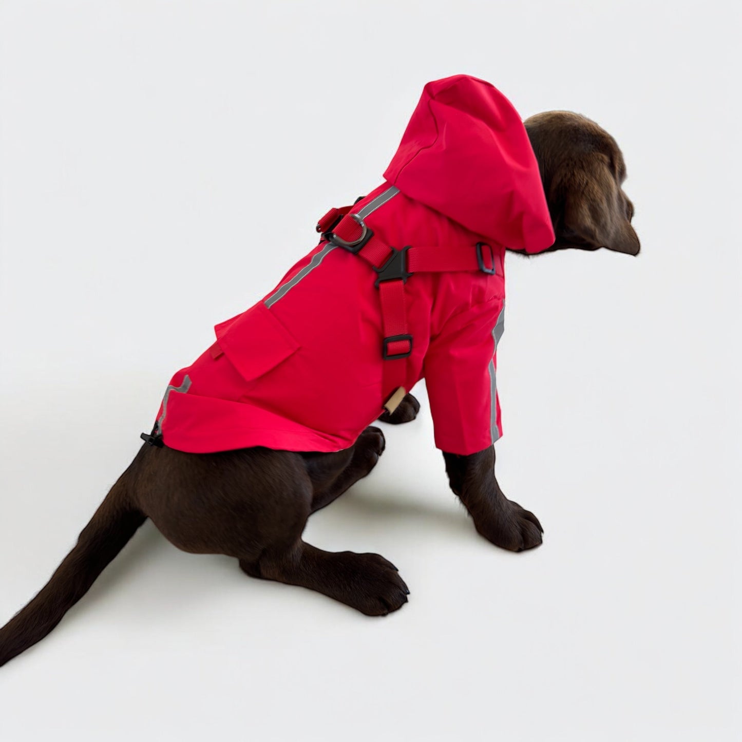 3 in 1 Rain Coat
