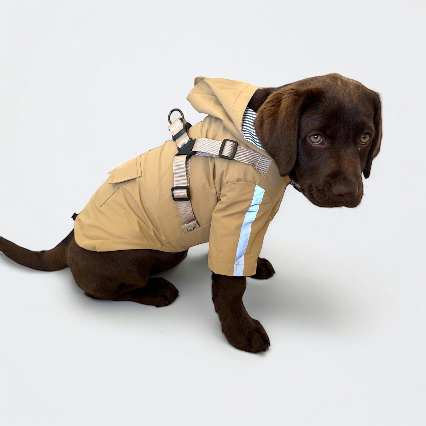 3 in 1 Rain Coat