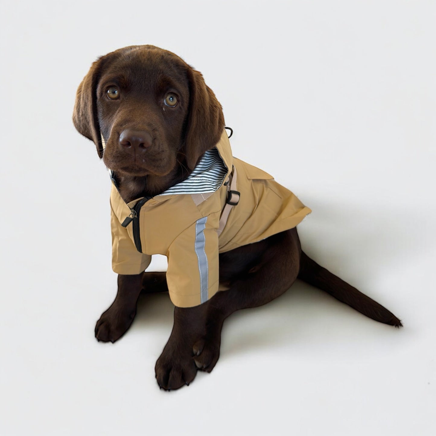 3 in 1 Rain Coat