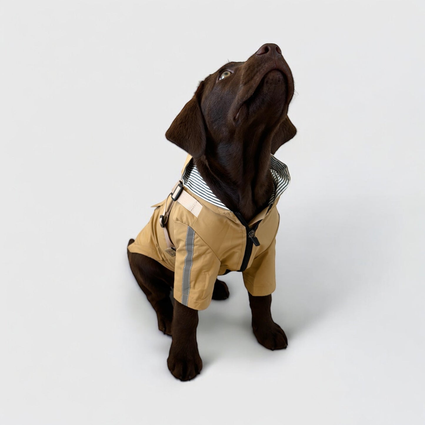3 in 1 Rain Coat