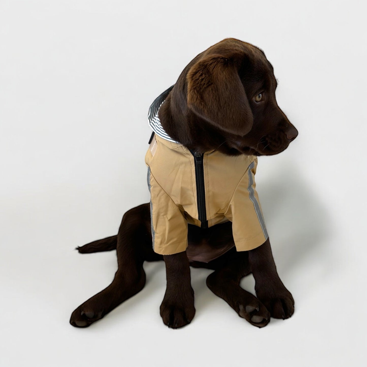 3 in 1 Rain Coat