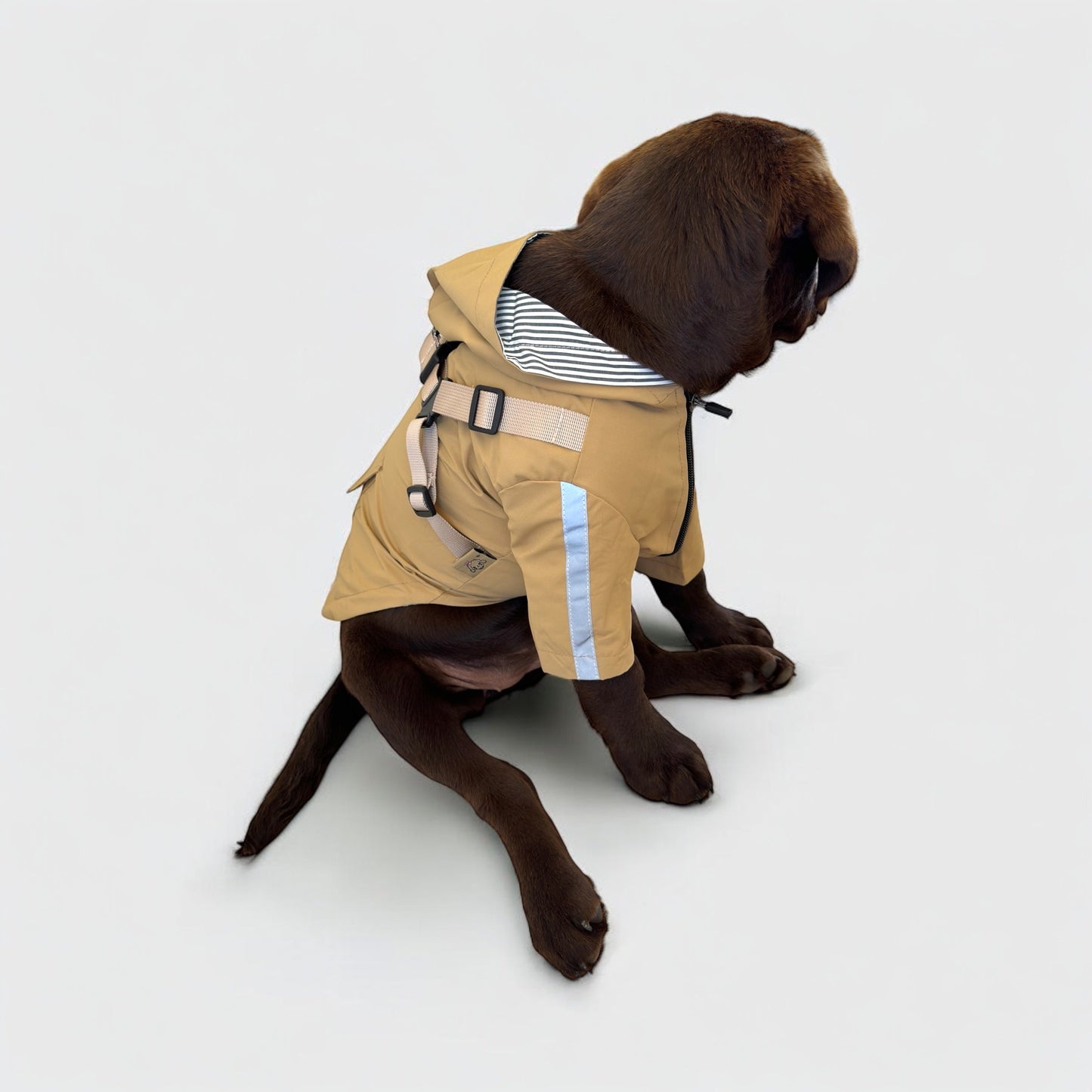 3 in 1 Rain Coat