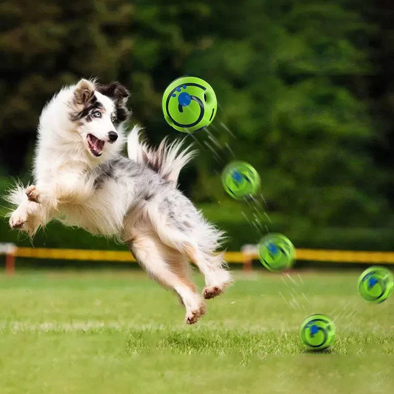 Glow Ball Interactive Dog Attention Toy Fun Sounds Ball