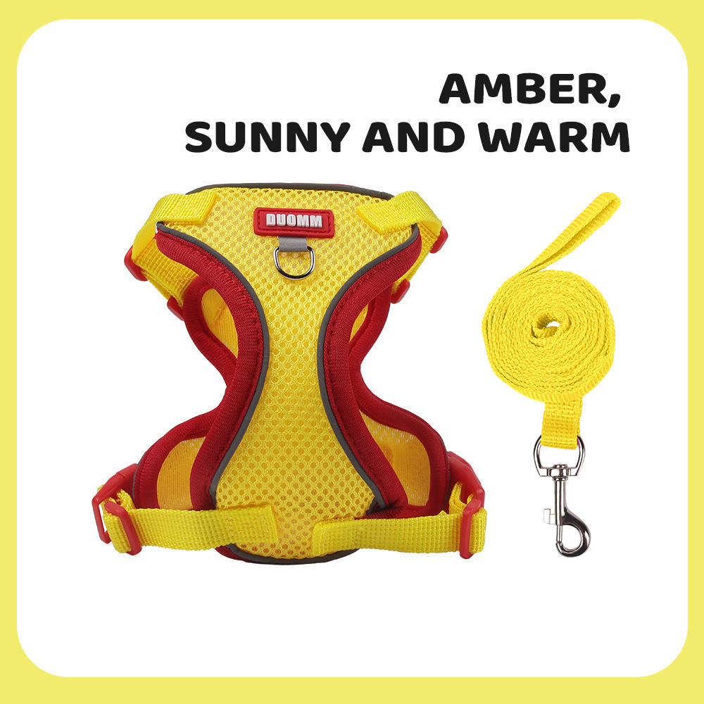 New pet harness and anti-escape dog leash set for outdoor use