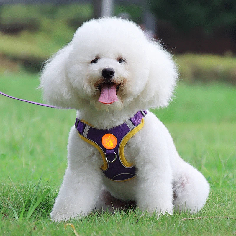 Dogs Harness Vest Walking Traction Rope Reflective Straps Soft Mesh