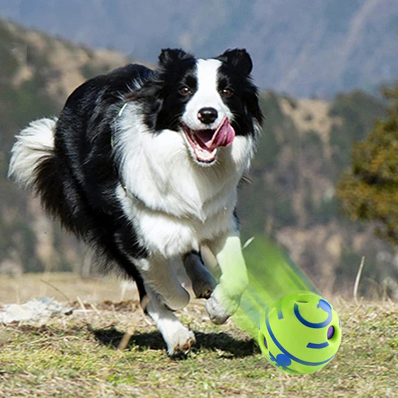 Glow Ball Interactive Dog Attention Toy Fun Sounds Ball