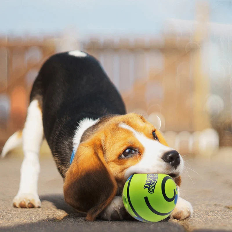 Glow Ball Interactive Dog Attention Toy Fun Sounds Ball